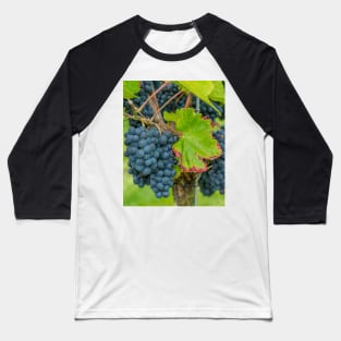 Vineyard, Kaiserstuhl, South-West Germany Baseball T-Shirt